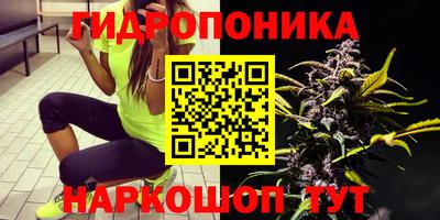 дживик Камень-на-Оби
