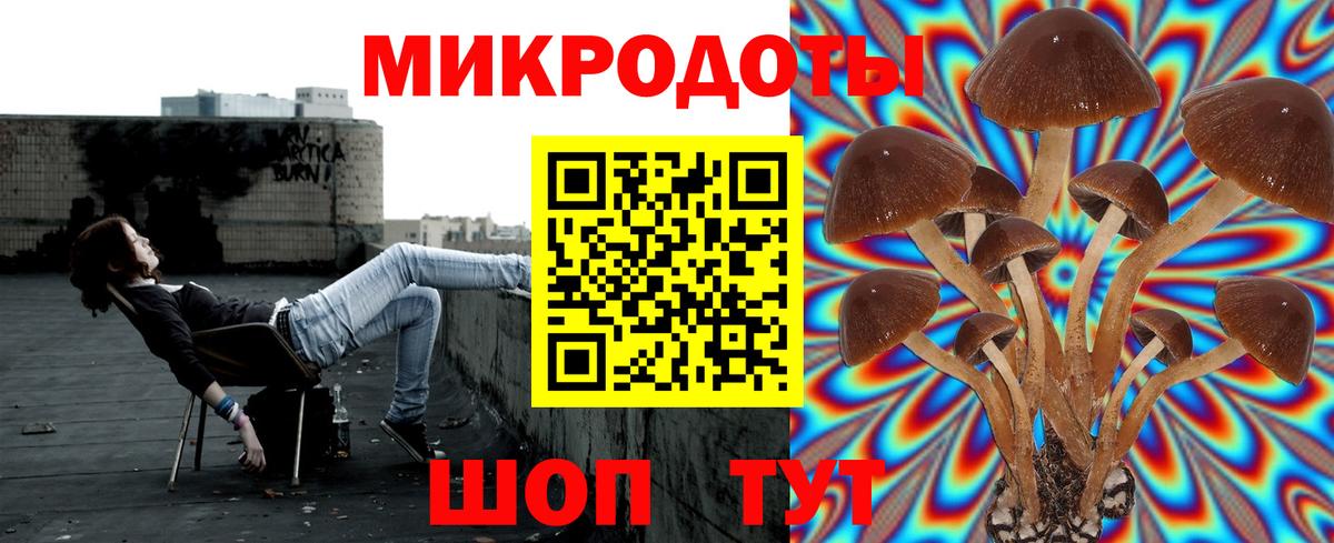 Галлюциногенные грибы GOLDEN TEACHER Муравленко