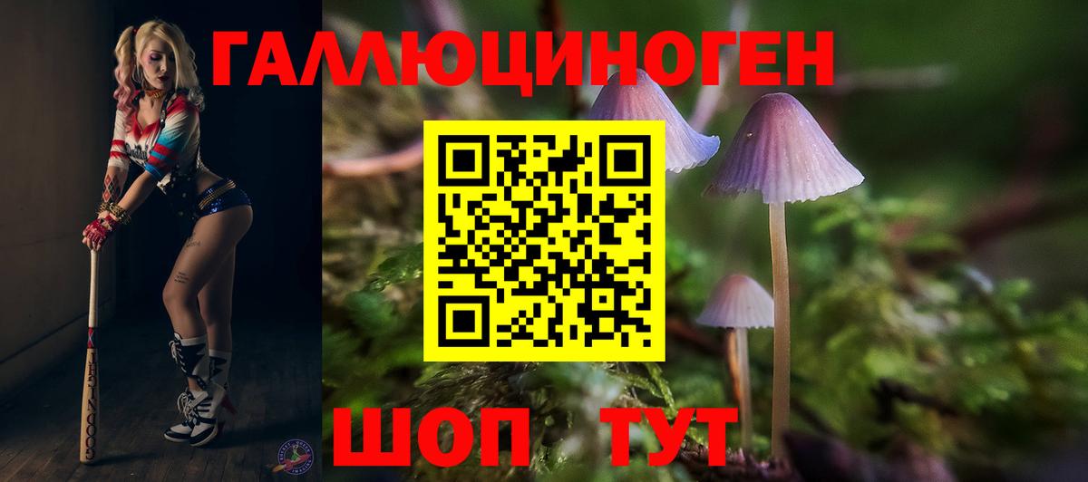 Муравленко  Галлюциногенные грибы ЛСД  Вход с VPN 