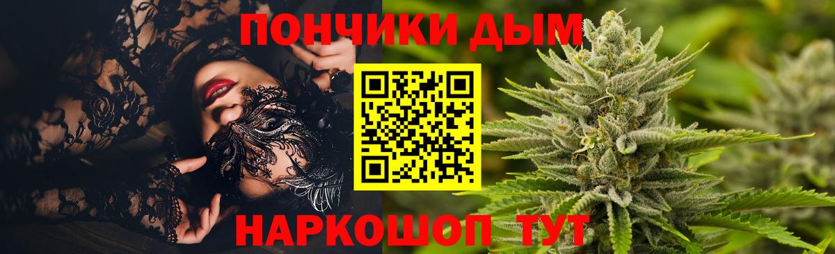 Каннабис планчик Муравленко